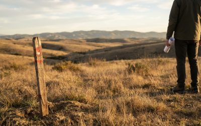 Affordable Land for Sale in California, USA: Buyer Due Diligence